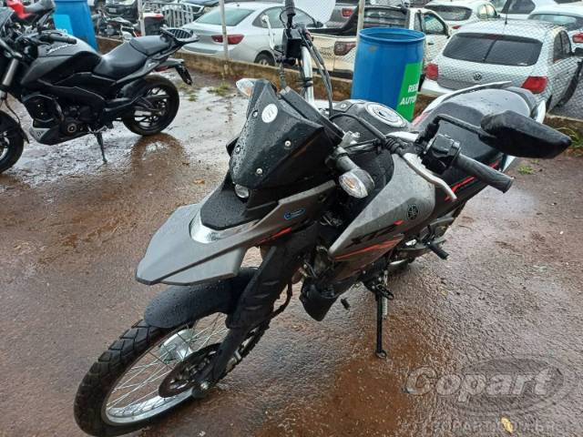 2025 YAMAHA XTZ 250 