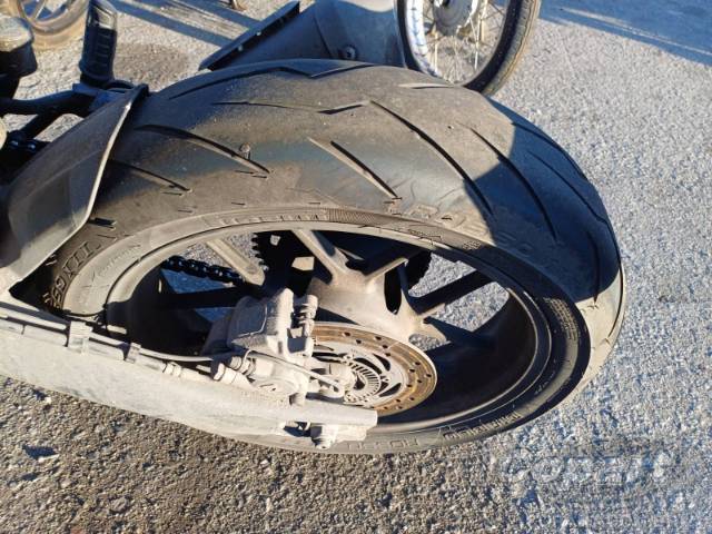 2025 TRIUMPH SPEED 