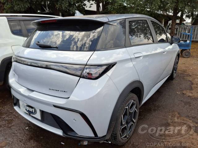 2024 BYD DOLPHIN 