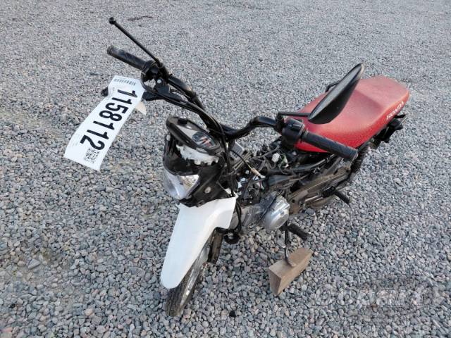 2025 HONDA POP 