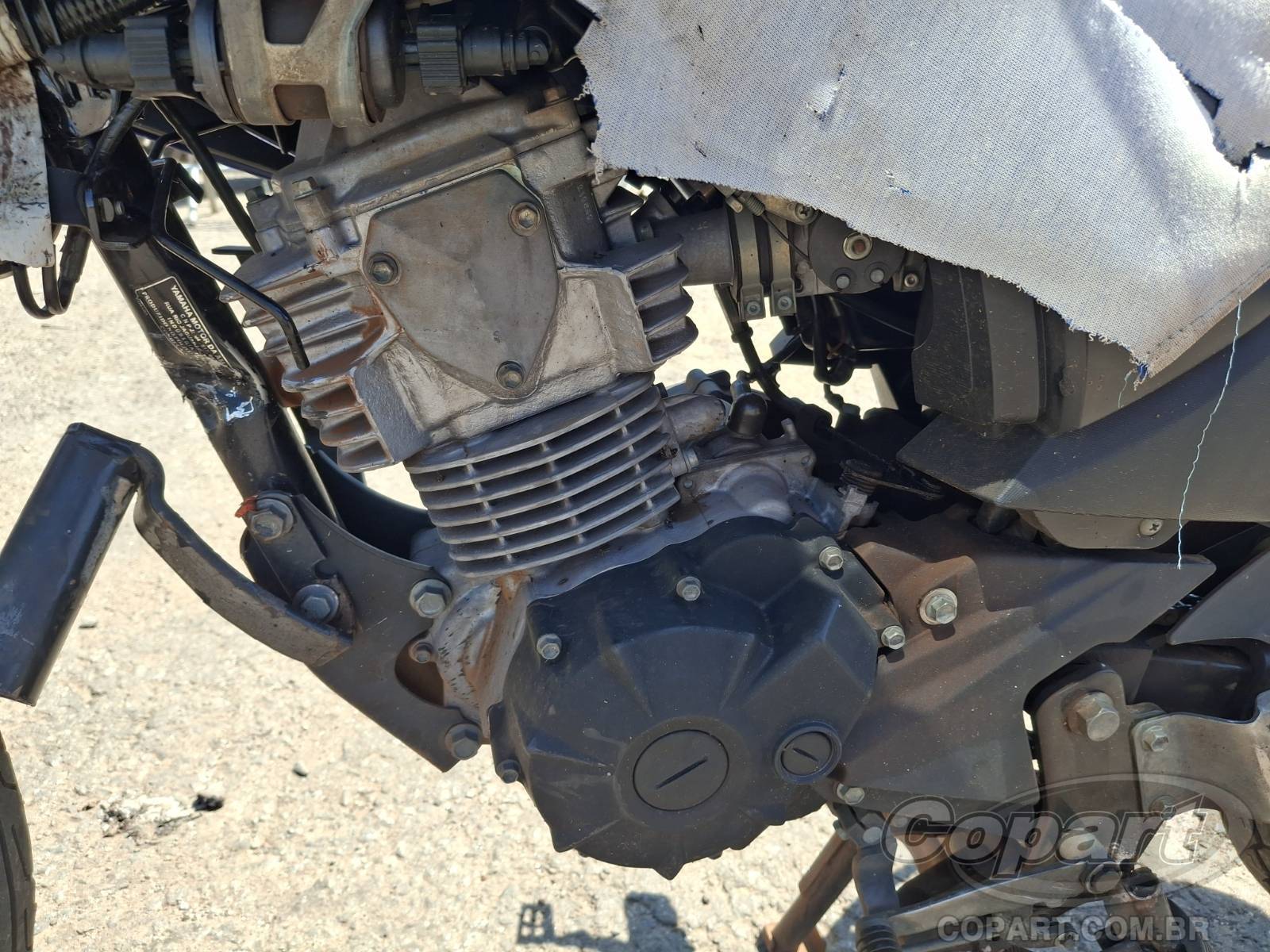 Foto 5: 2023 YAMAHA FAZER