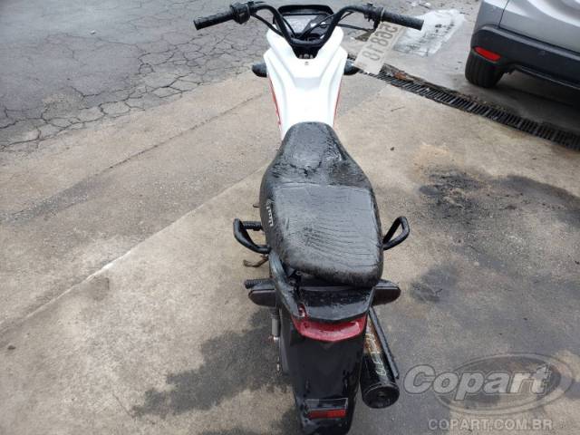 2019 HONDA POP 