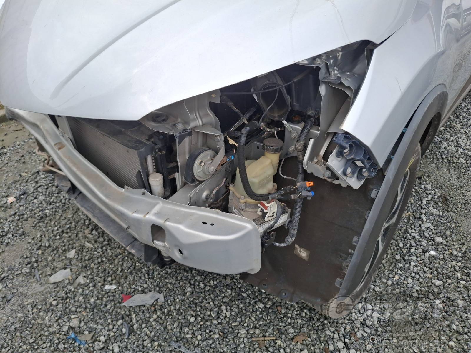 2019 RENAULT CAPTUR — foto 12 de 13