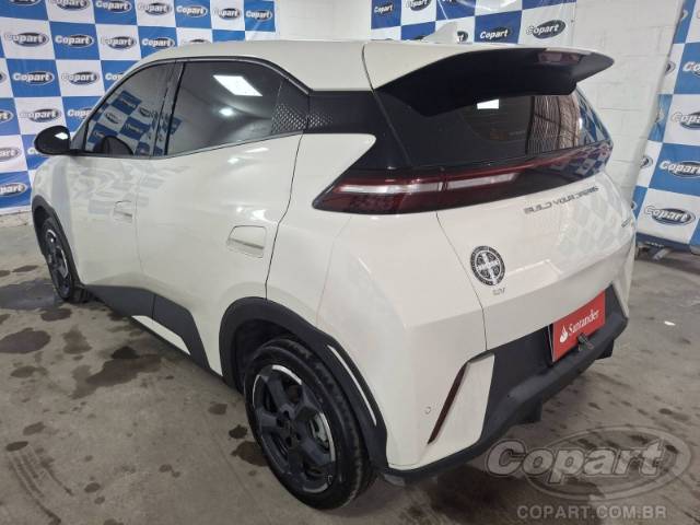2024 BYD DOLPHIN MINI 