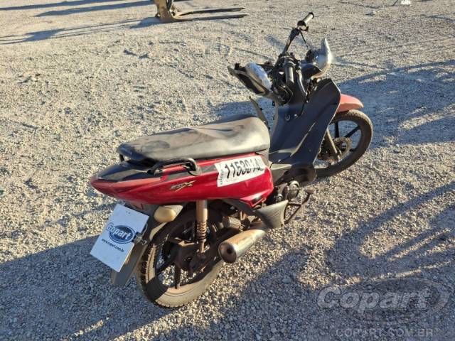 2020 SHINERAY 50Q 