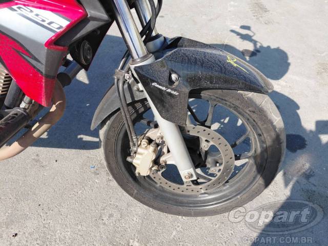 2019 HONDA CB 250 F 