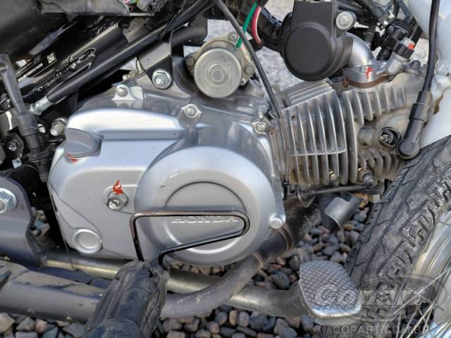 2025 HONDA POP 