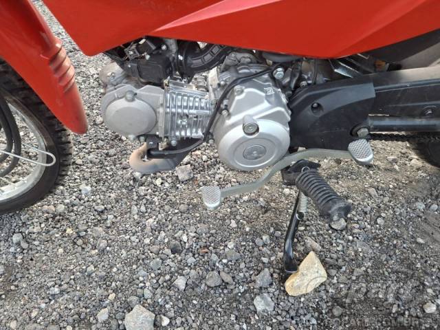 2026 HONDA POP 