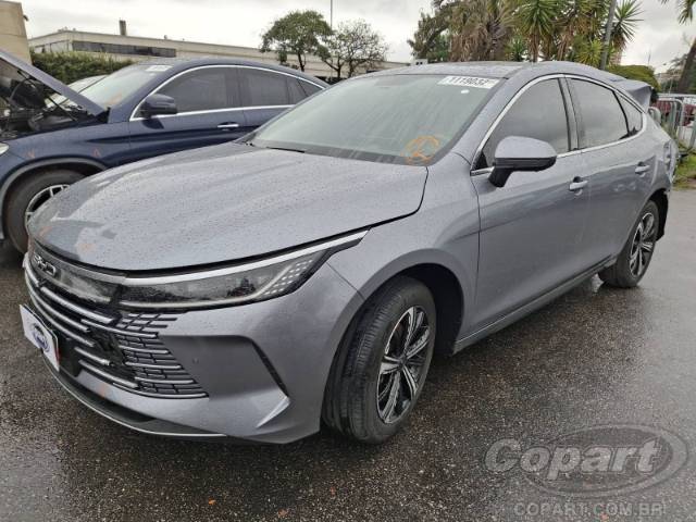 2025 BYD KING 