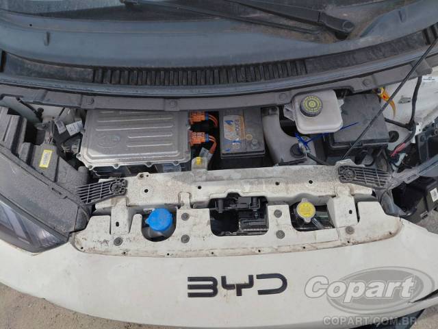 2025 BYD DOLPHIN MINI 