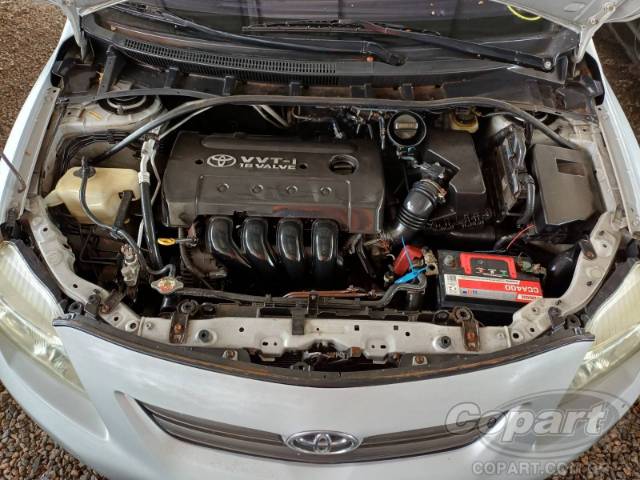 2010 TOYOTA COROLLA 