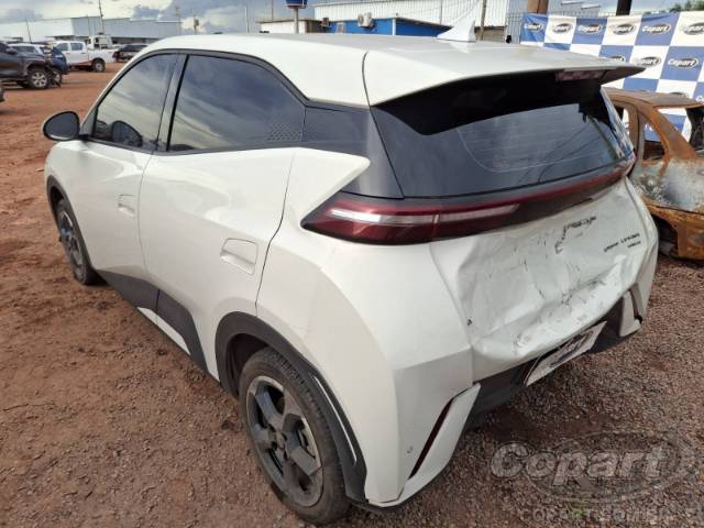 2025 BYD DOLPHIN MINI 