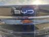 2025 BYD KING 