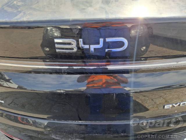 2025 BYD KING 