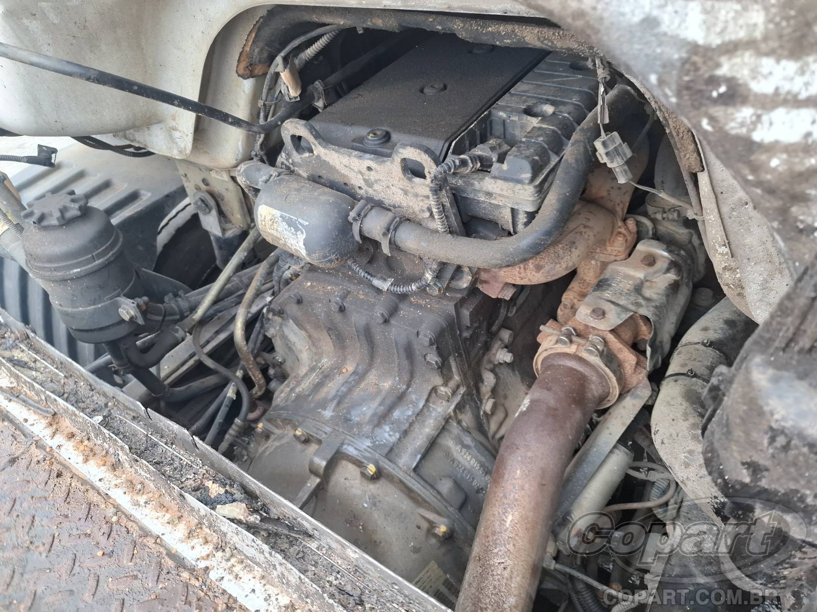 Foto 7 de 10: 2021 MERCEDES BENZ ACCELO