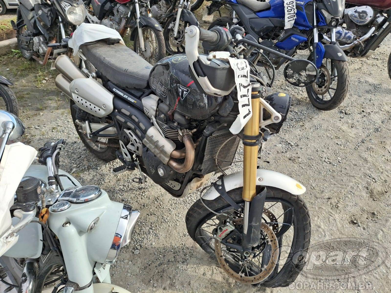Veículo TRIUMPH Scrambler Triumph Scrambler 1200 XE 2024 Média Monta 2024 em leilão