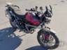 2025 TRIUMPH TIGER 