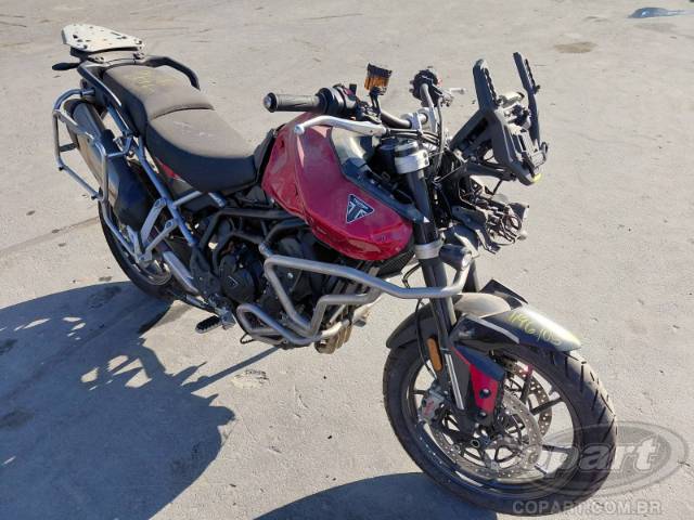 2025 TRIUMPH TIGER 