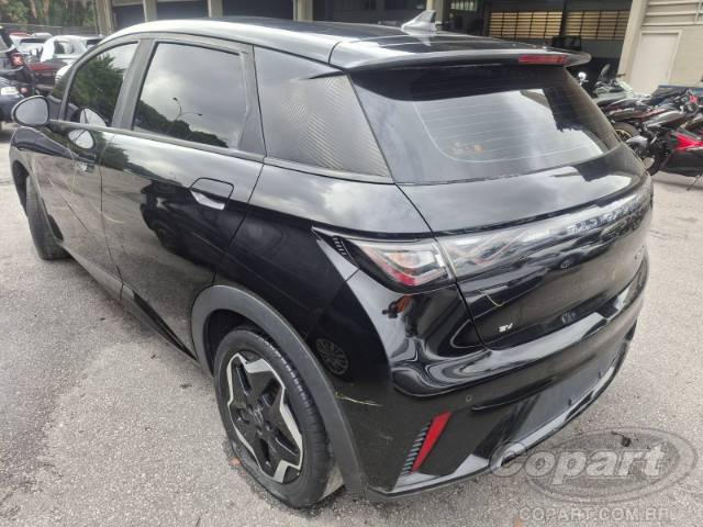 2024 BYD DOLPHIN 