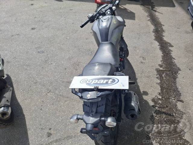 2024 YAMAHA FZ25 FAZER 