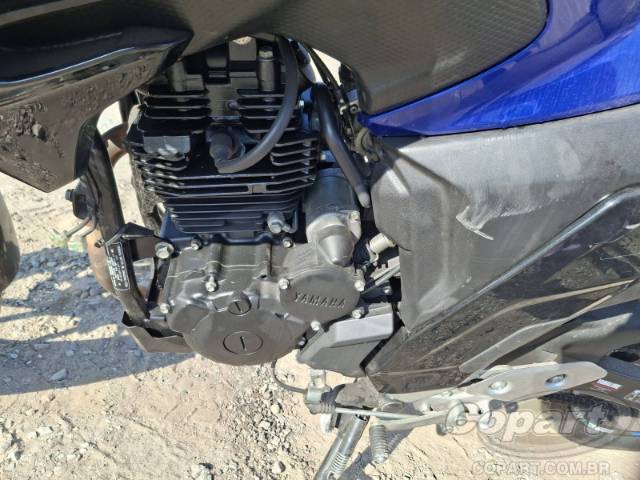 2024 YAMAHA FZ25 FAZER 