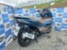 2024 HONDA PCX 