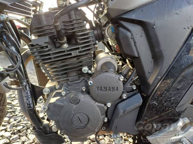 2025 YAMAHA FZ25 FAZER 