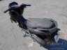 2025 YAMAHA NMAX 