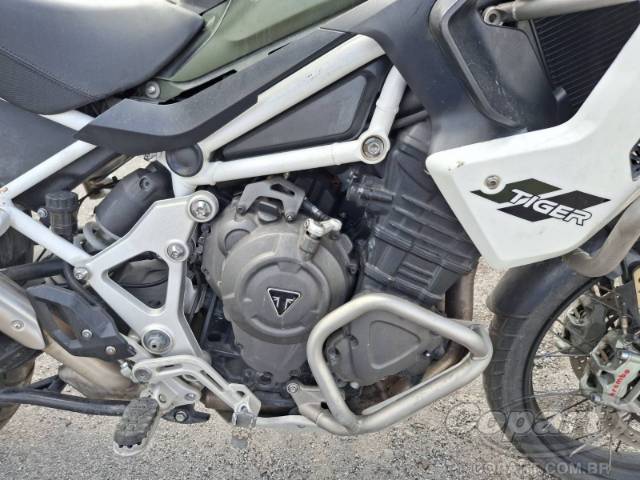 2024 TRIUMPH TIGER 