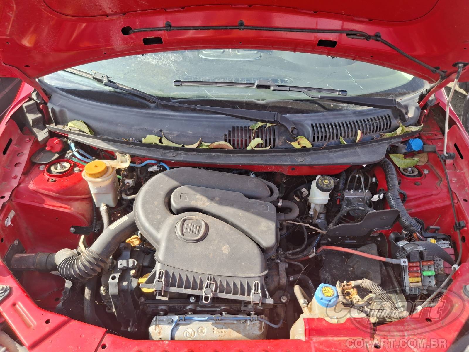 Foto 7 de 10: 2020 FIAT GRAND SIENA