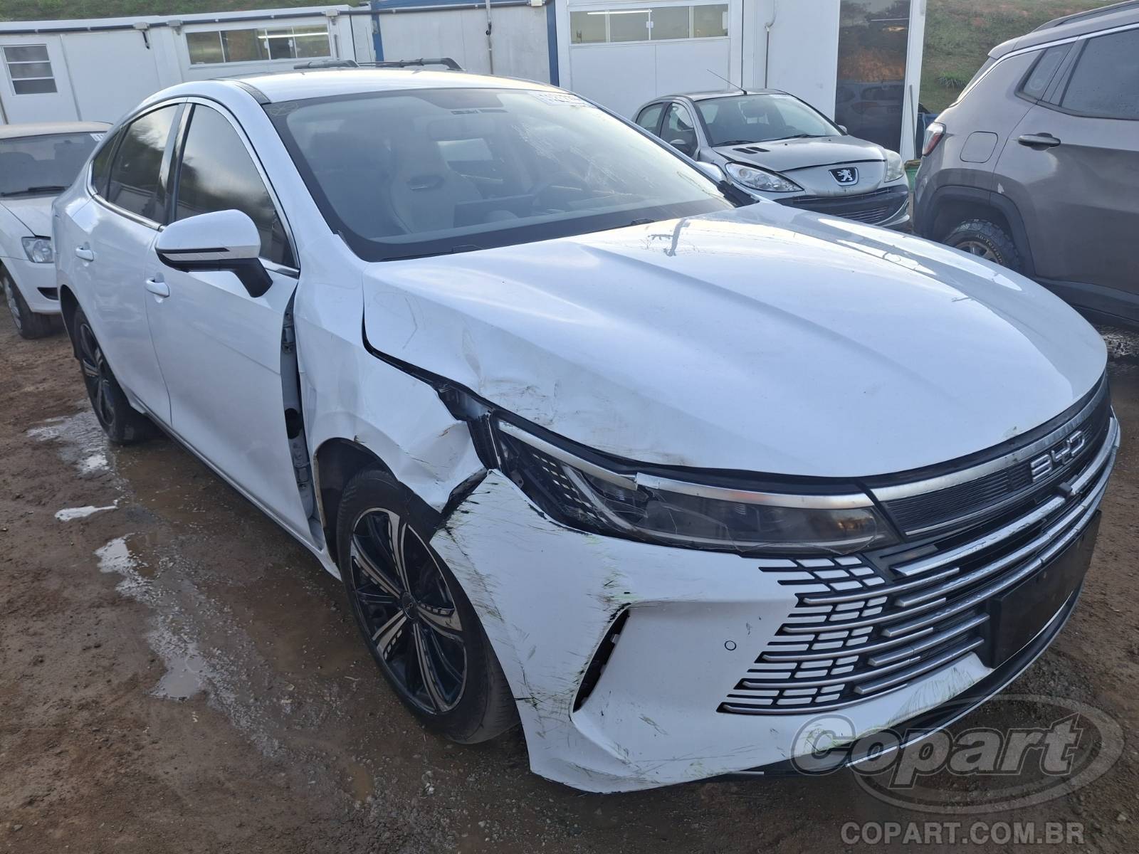 BYD KING 2025 Híbrido