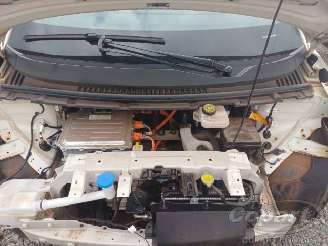 2026 BYD DOLPHIN MINI 