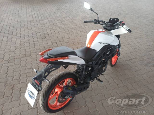 2026 SHINERAY 250F 