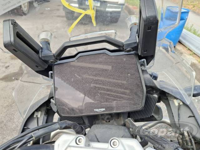 2024 TRIUMPH TIGER 