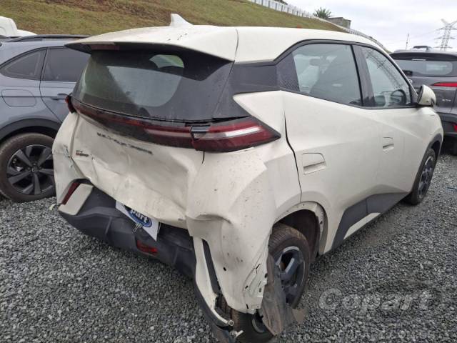 2025 BYD DOLPHIN MINI 