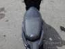2022 YAMAHA NEO 