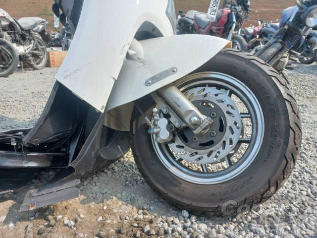 2023 FEVER RAP BAN FR250 