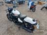 2026 ROYAL ENFIELD Shotgun 