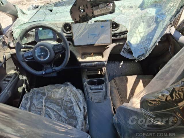 2025 BYD DOLPHIN/YUAN PLUS/YUAN PRO 