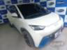 2025 BYD DOLPHIN MINI 