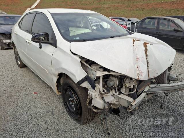 2019 TOYOTA COROLLA 
