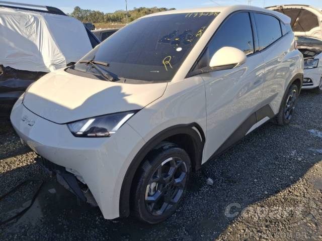 2027 BYD DOLPHIN MINI 