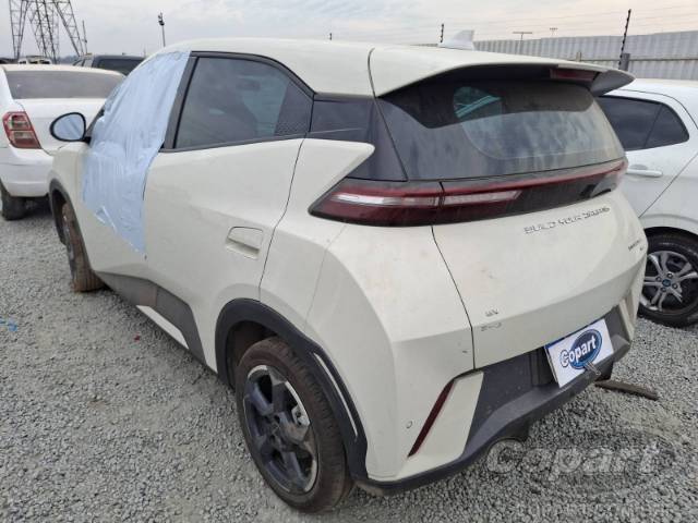 2024 BYD DOLPHIN MINI 