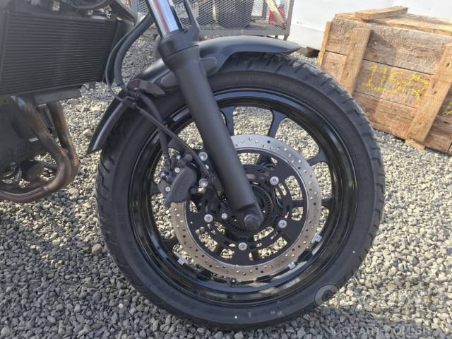 2025 KAWASAKI Eliminator 
