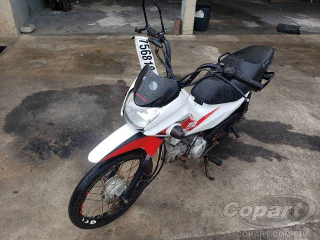 2019 HONDA POP 