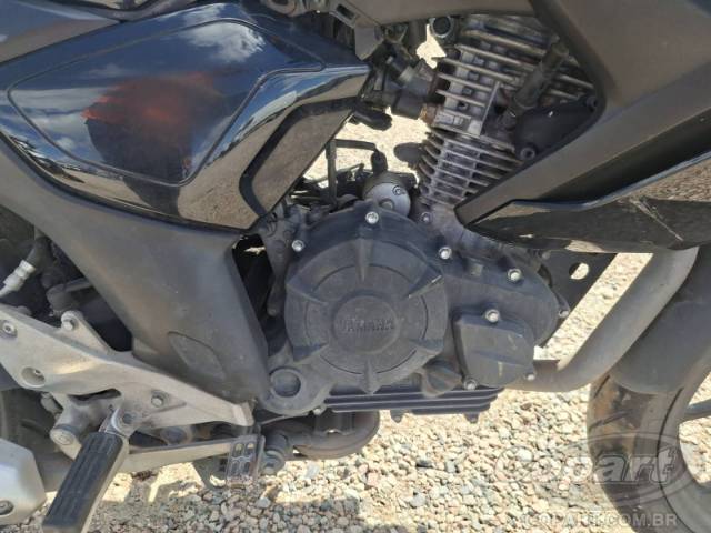 2024 YAMAHA FZ15 