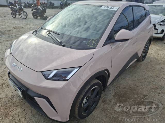 2025 BYD DOLPHIN MINI 