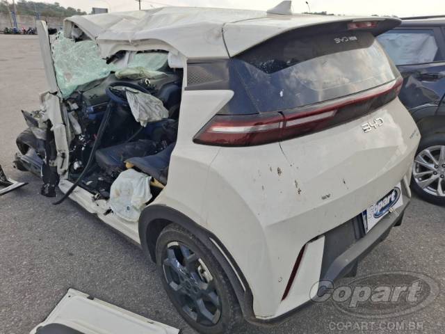 2026 BYD DOLPHIN MINI 