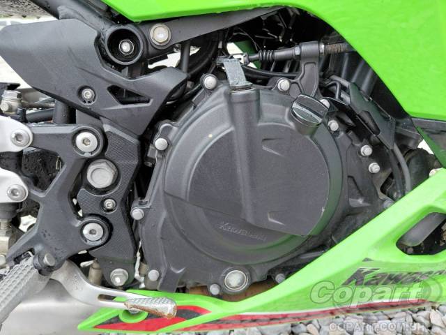 2025 KAWASAKI NINJA 500 