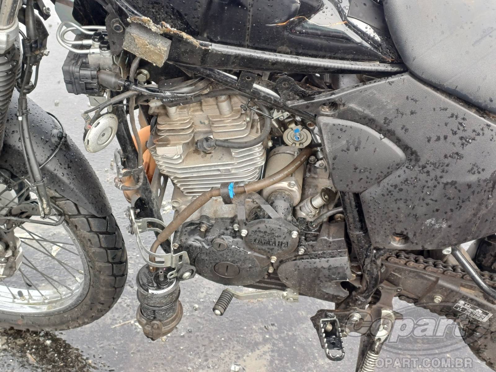 Foto 5: 2025 YAMAHA XTZ 250